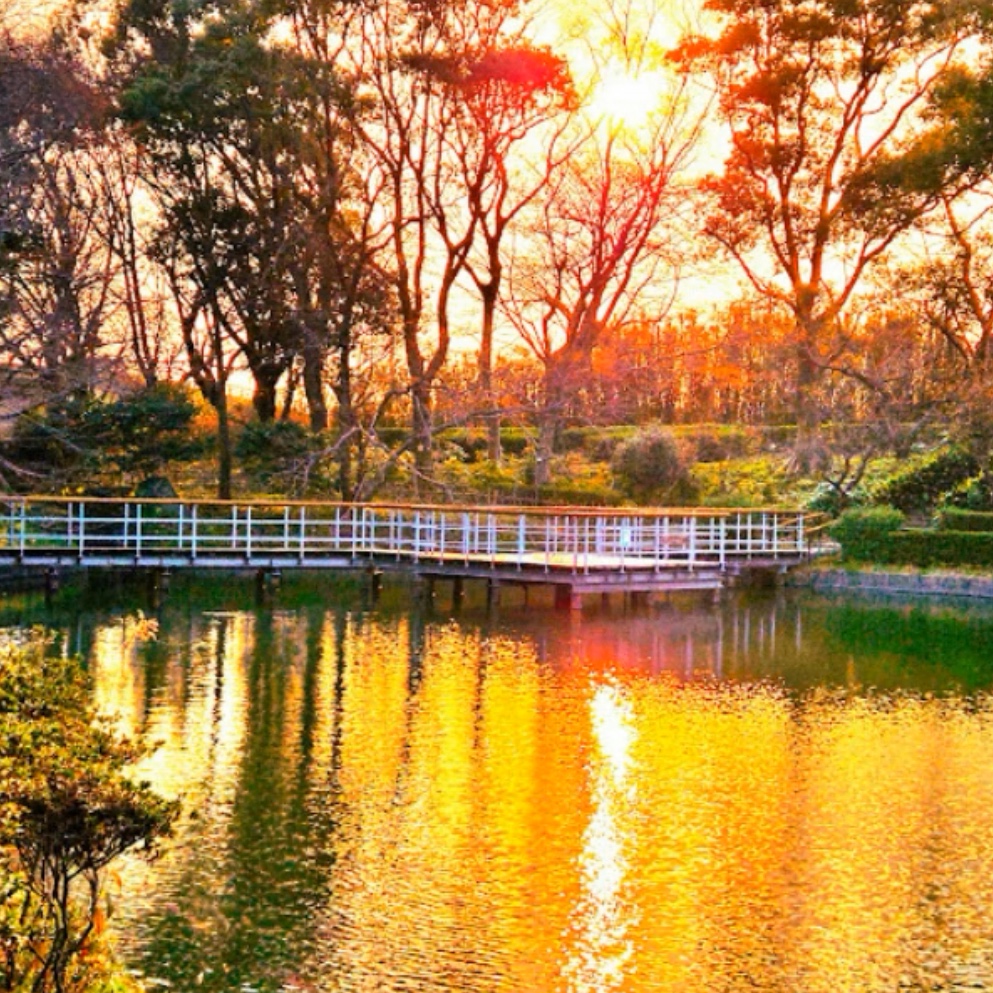 さんさんテラス