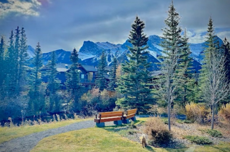 Spring Creek lookout