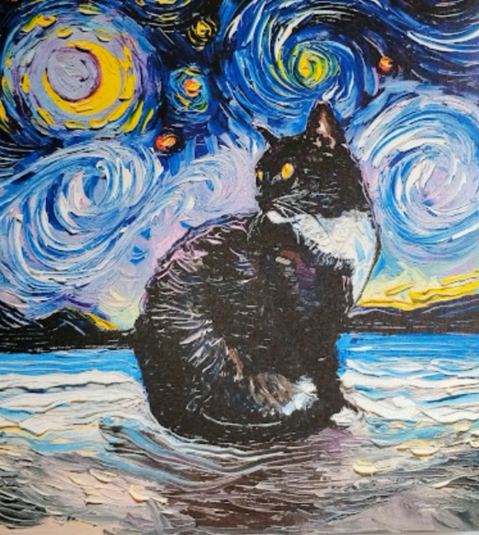 A Cat Starry Night