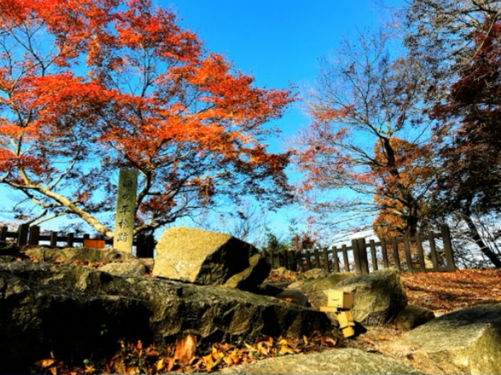 四の平櫓跡 yonnohira turre