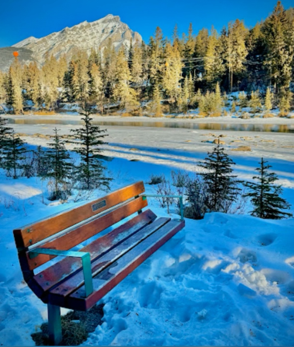 Donald Mowat Memorial Bench