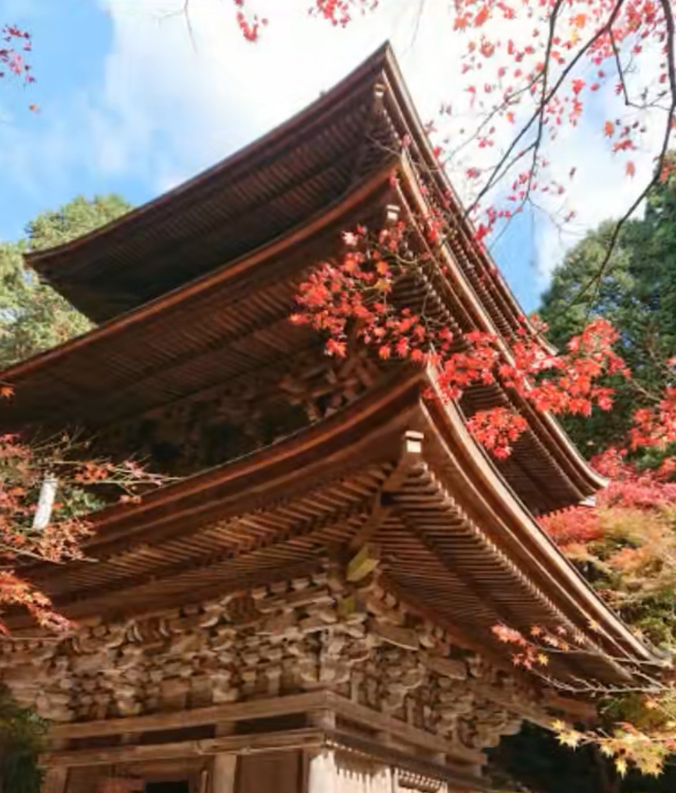 金剛輪寺 三重塔