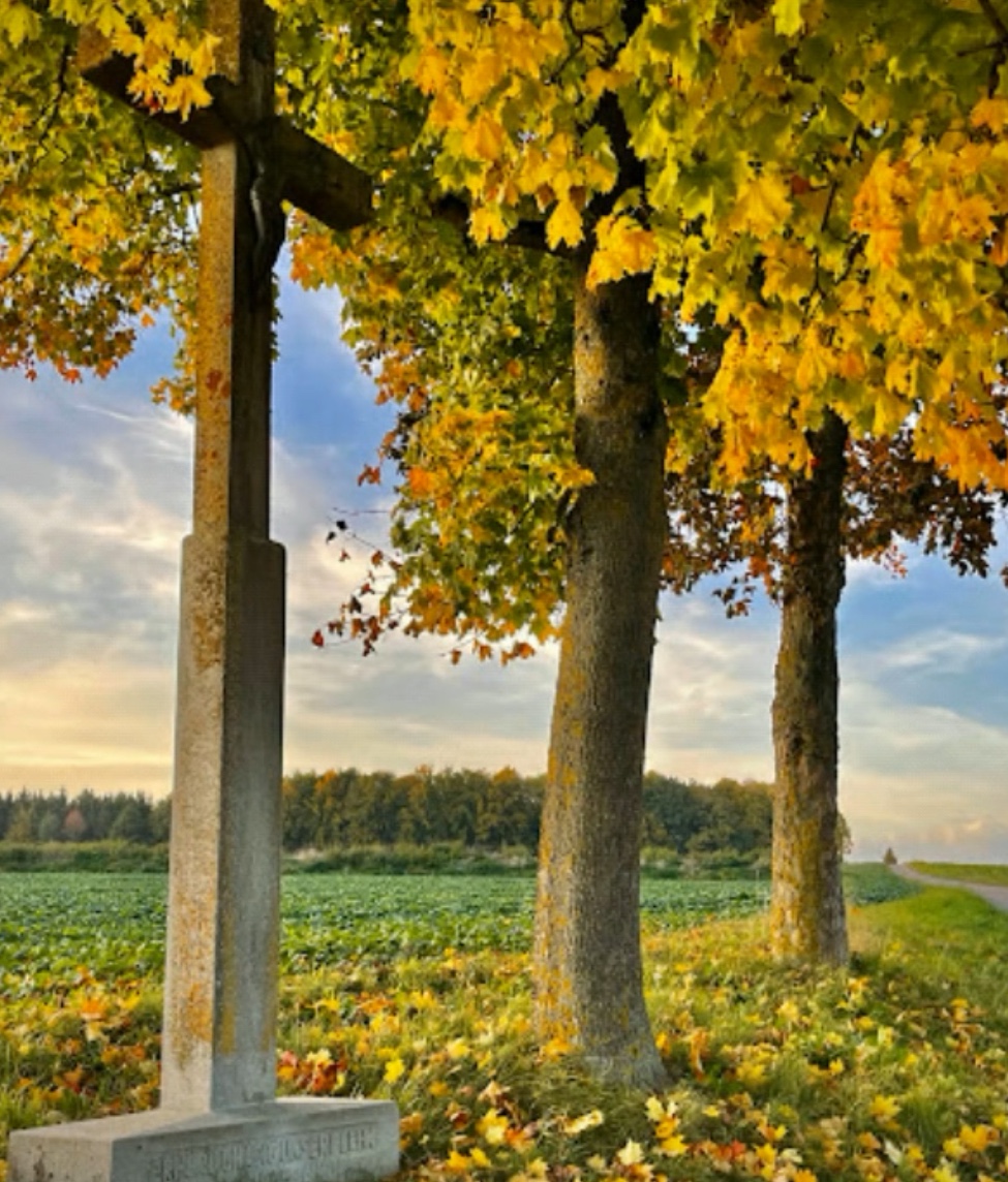 Erhöre gnädig unser Flehn Distance: 927m