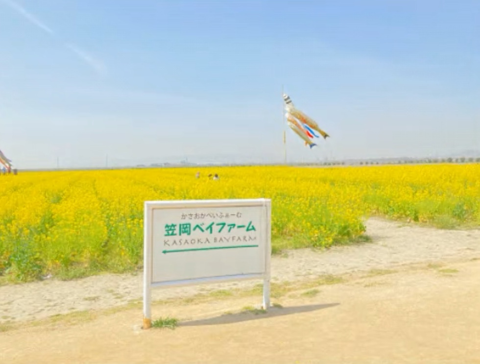 笠岡ベイファーム