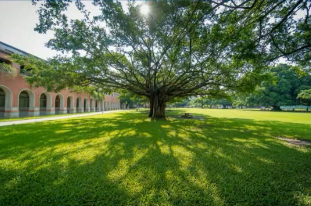 成大榕園