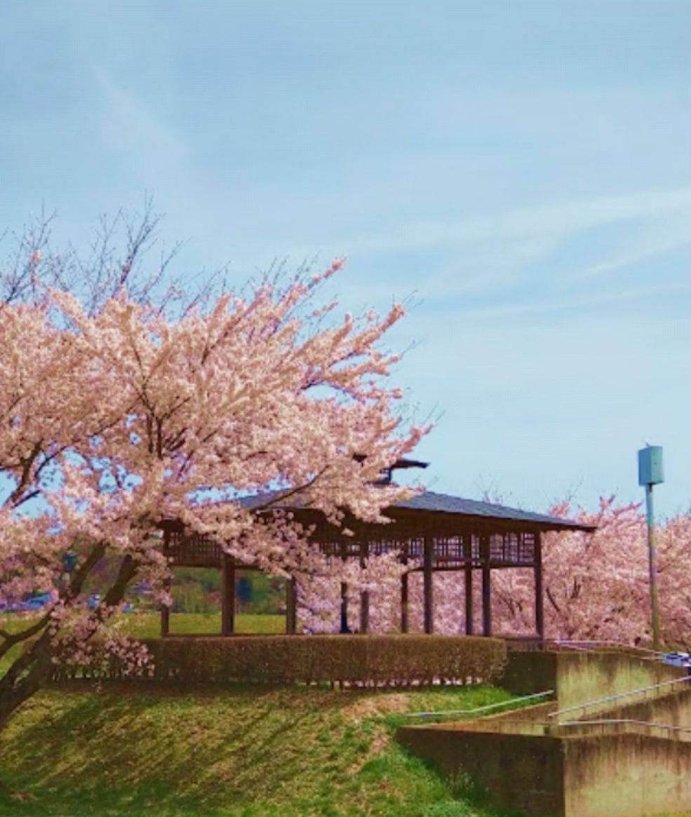 スポーツ広場北側の東屋