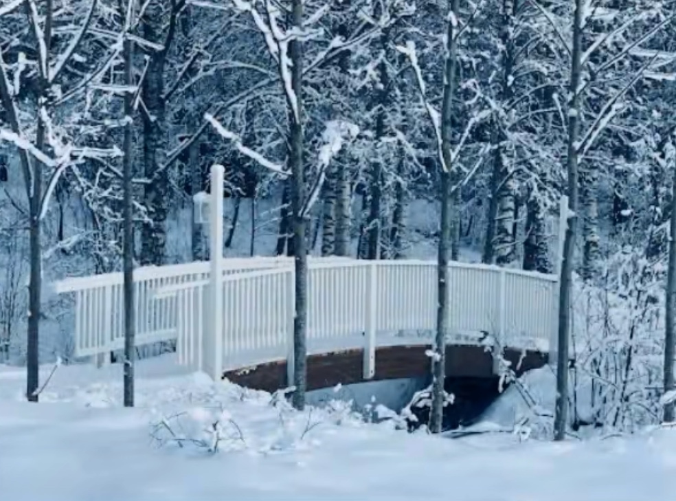 Oinasojan kävelysilta