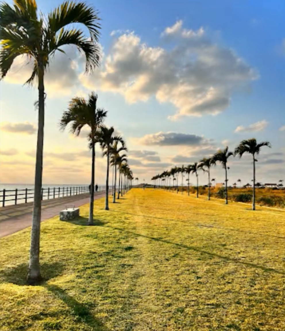 ヤシの木ロード