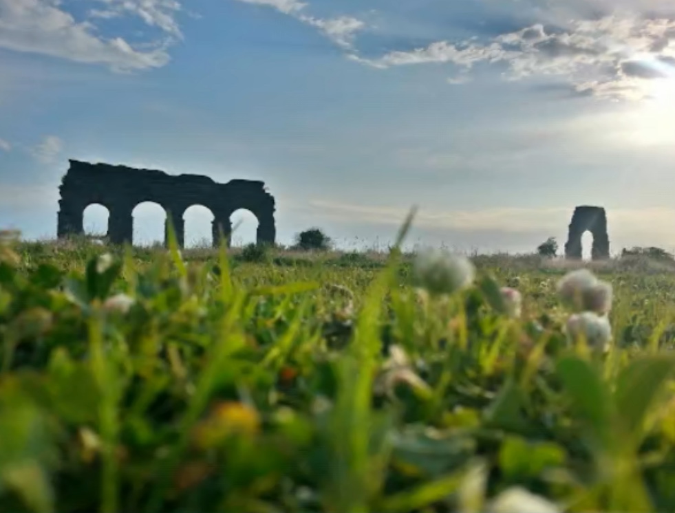 Quadrupla Arcuazione