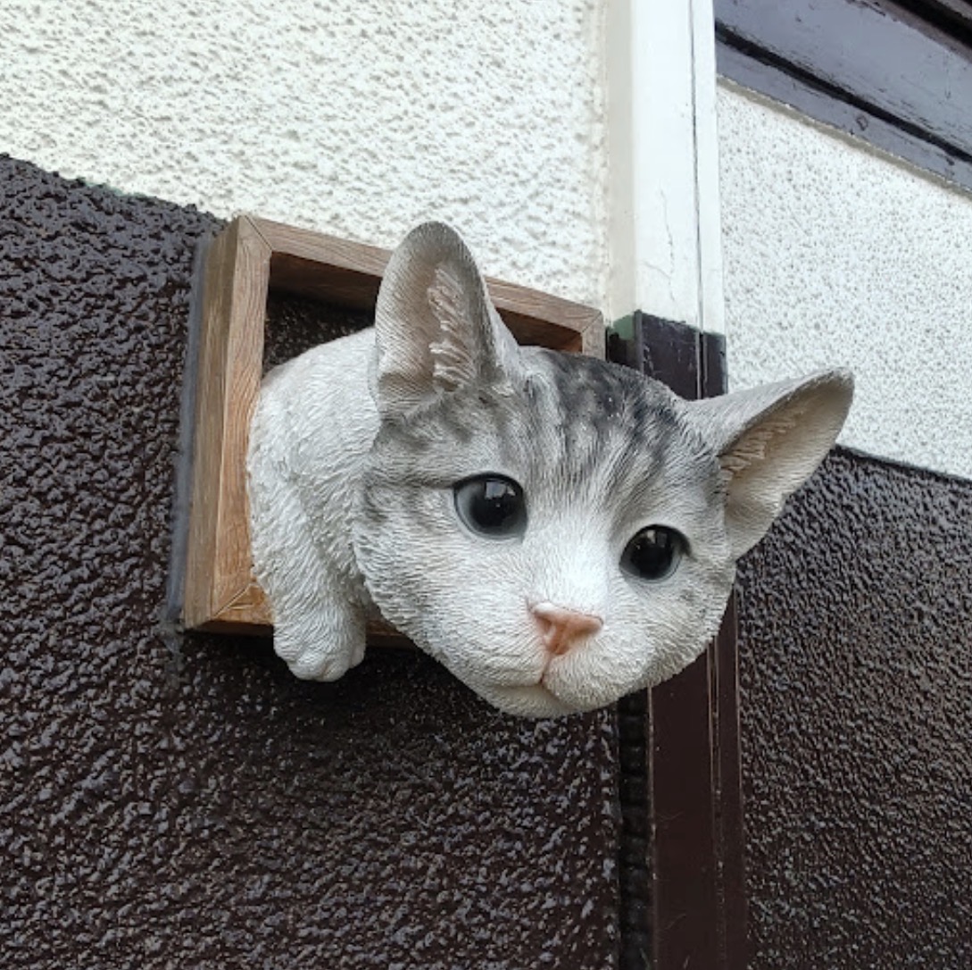 ひょっこりにゃんこ