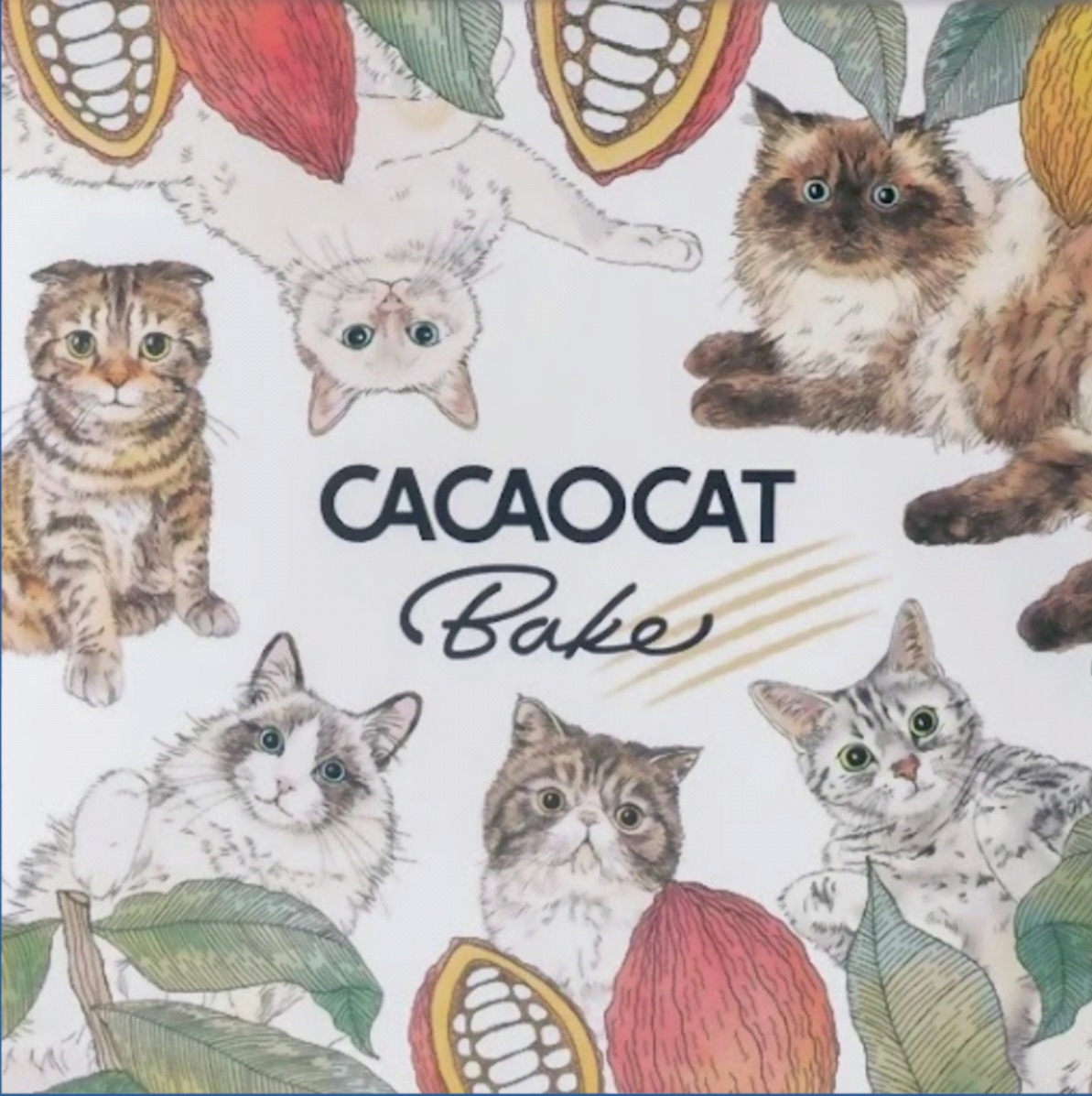 CACAOCAT