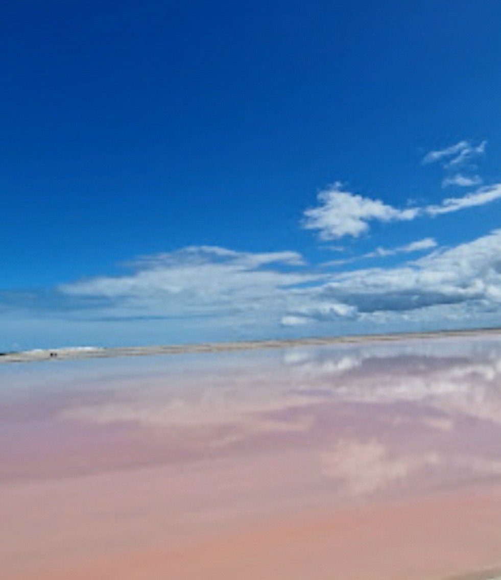 coloradas