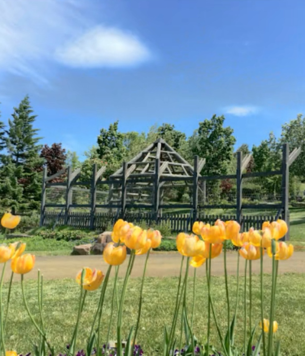 カントリーハウス