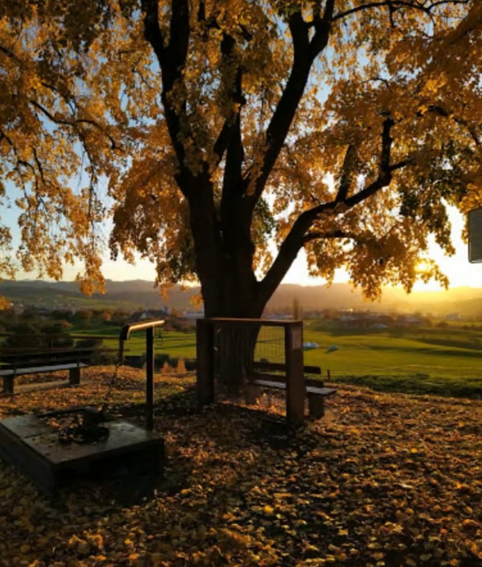 Grillplatz Lindenberg