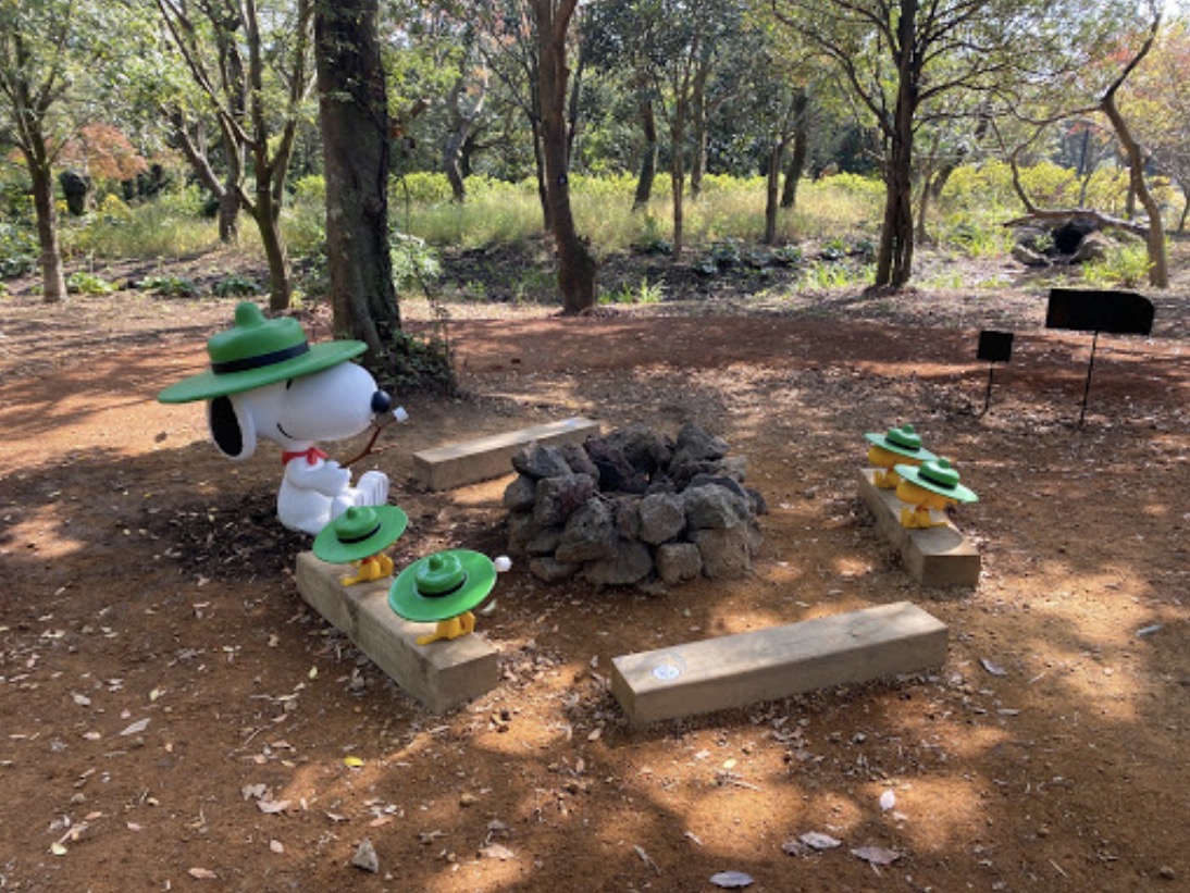 비글 스카우트 캠프파이어