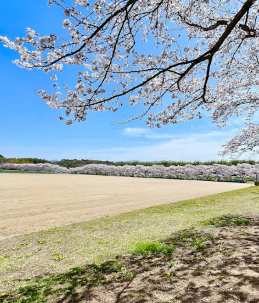 上野公園グラウンド