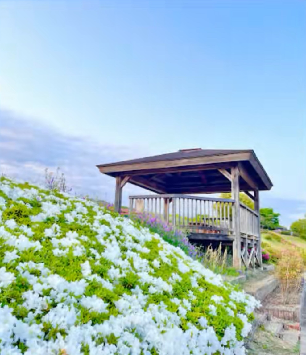 上野公園 東屋池の畔