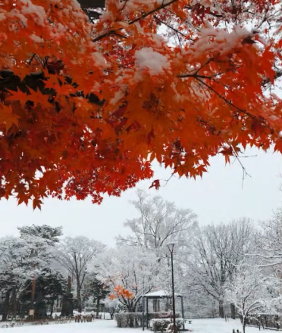 月寒公園あずまや