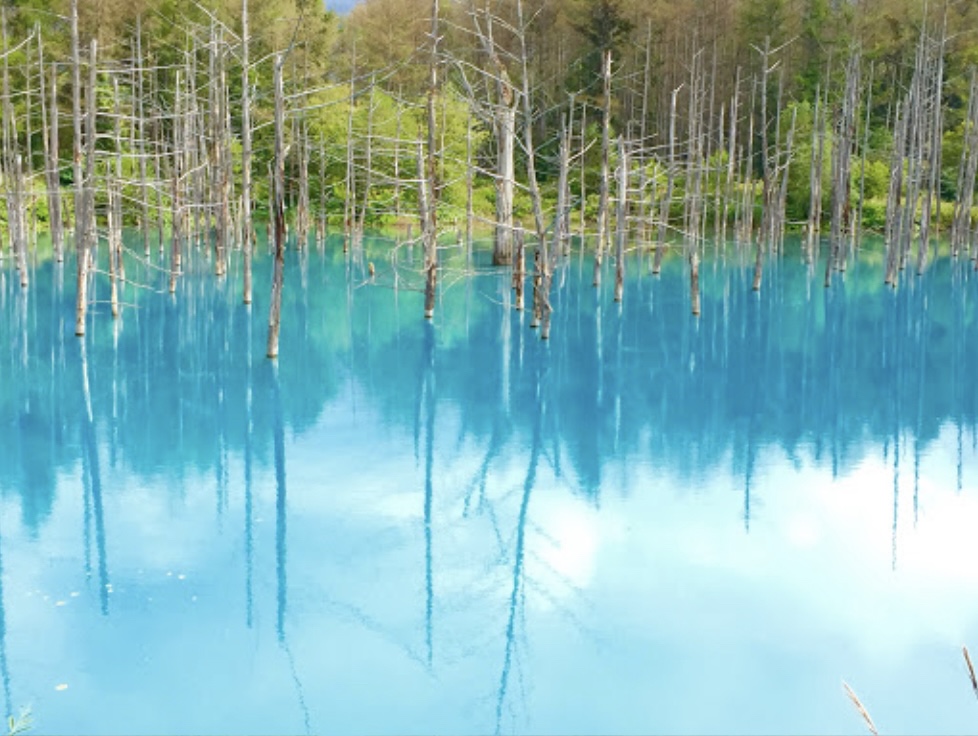 青い池
