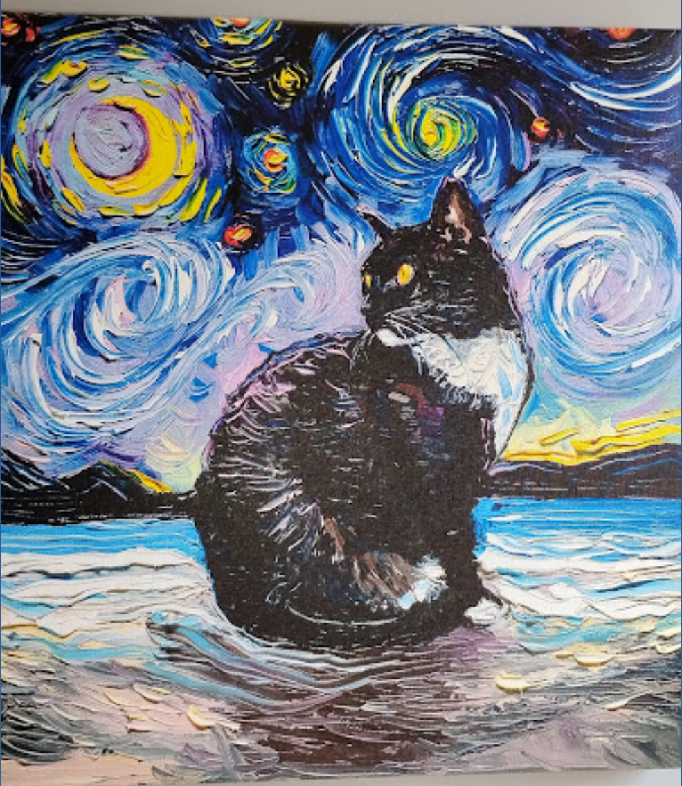 A Cat Starry Night