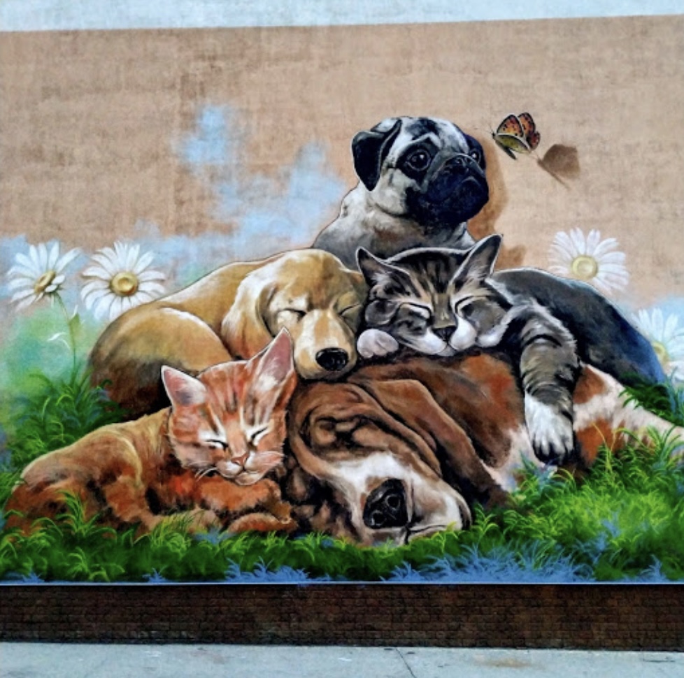 Вірні Друзі