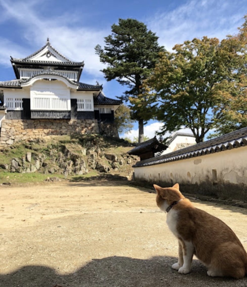 備中松山城天守閣
