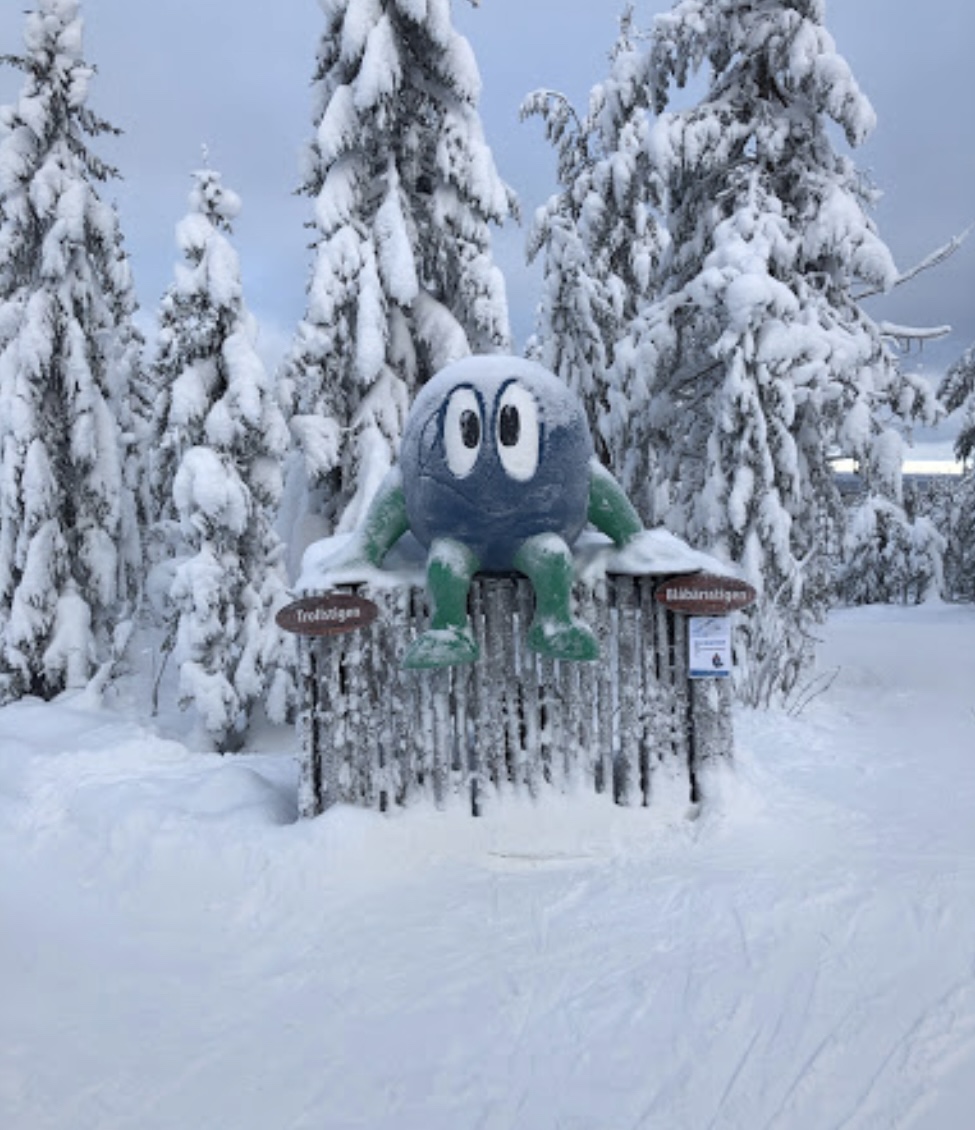 Bläbär hjälper till med vägval