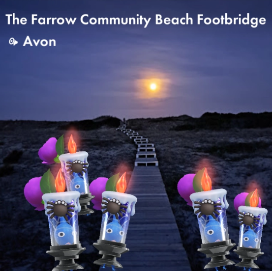 The Farrow Community Beach Footbridge