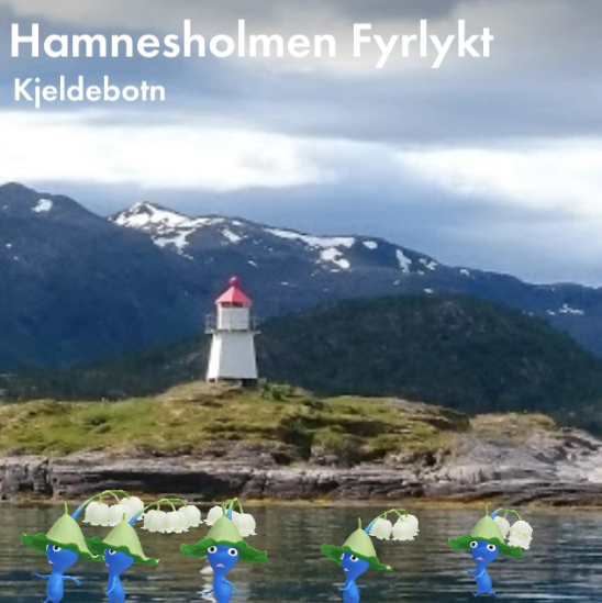 Hamnesholmen Fyrlykt