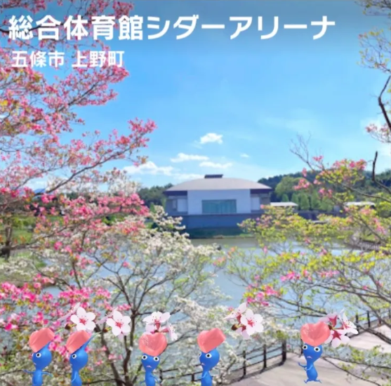 総合体育館シダーアリーナ