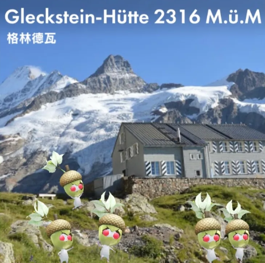 Gleckstein-Hütte 2316 M.ü.M