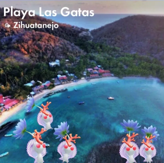 Playa Las Gatas