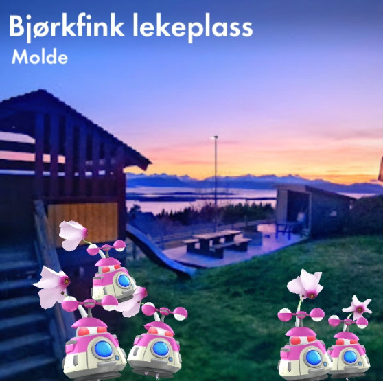 ⁣Bjørkfink lekeplass