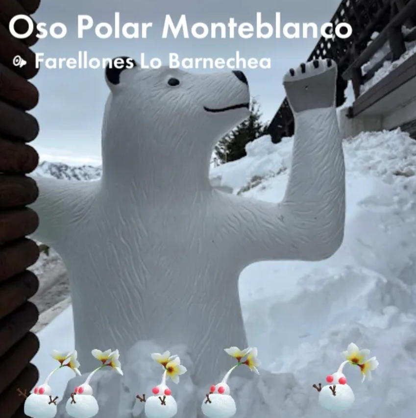 Oso Polar Monteblanco
