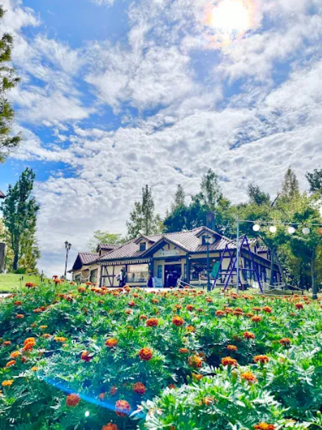 森のマーケット