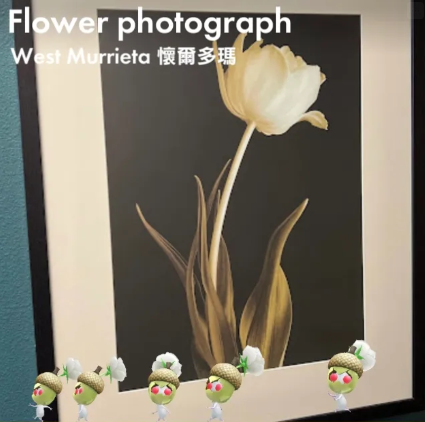 Flower photograph