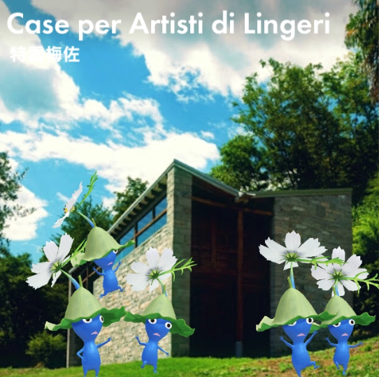 Case per Artisti di Lingeri