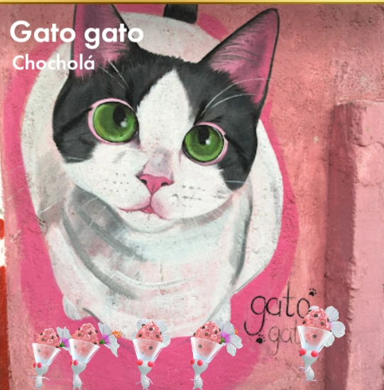 Gato gato