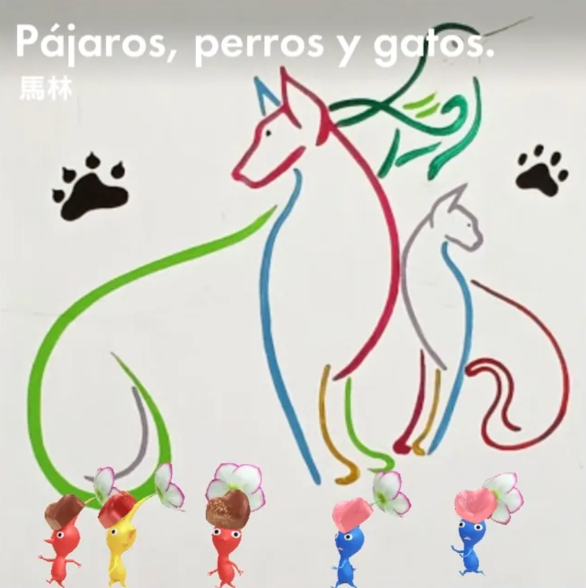 ⁣Pájaros, perros y gatos.