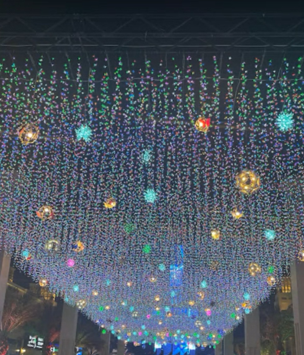 Sheikh Zayed Festival entrance light