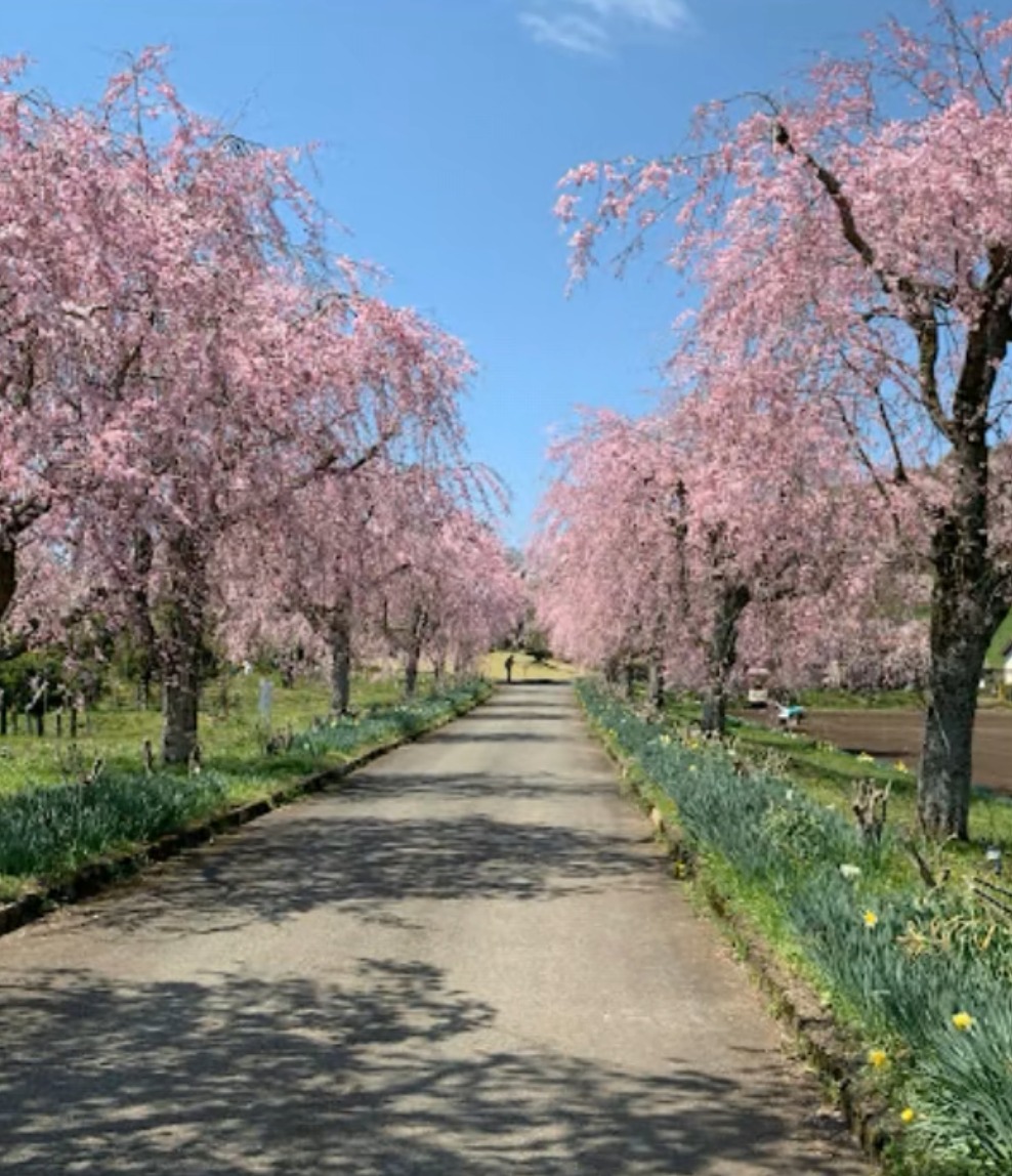 京都府緑化センター入り口