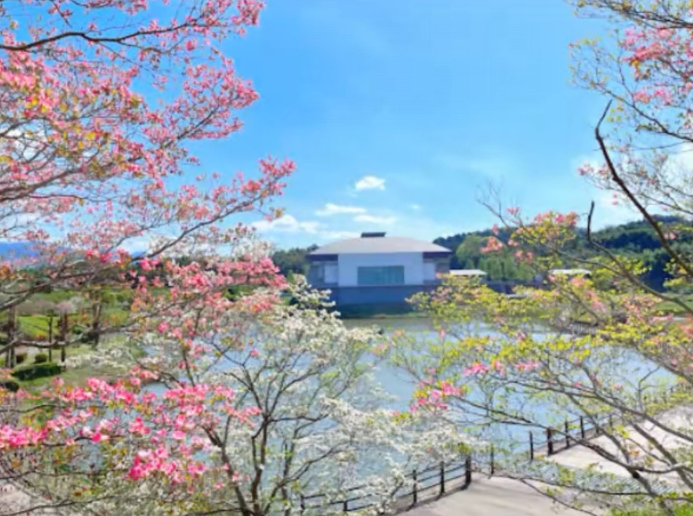 総合体育館シダーアリーナ