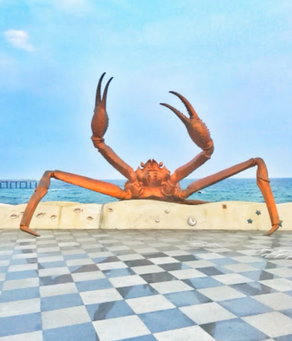 육지에 올라온 울진대게