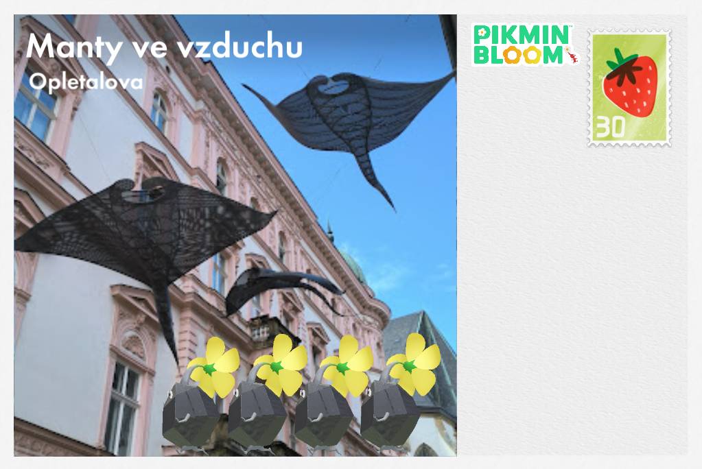 飛天魟魚Manty ve vzduchu