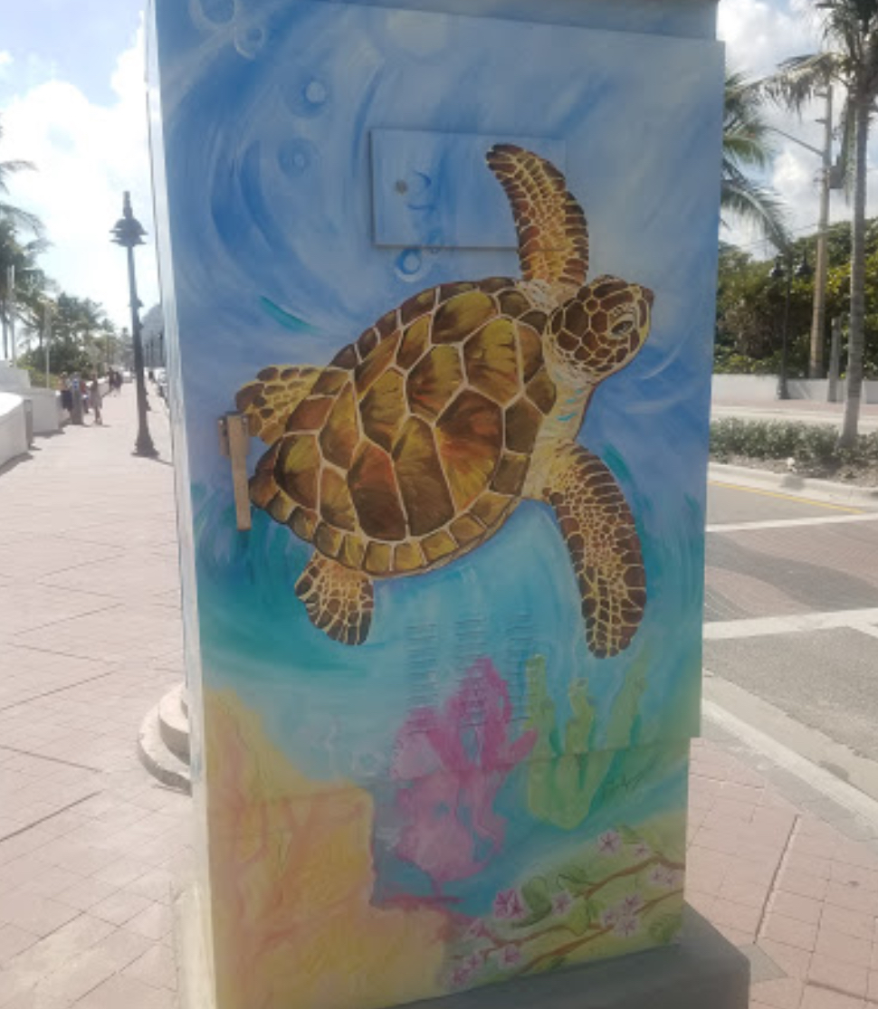 Swimming Turtle Electrical Box