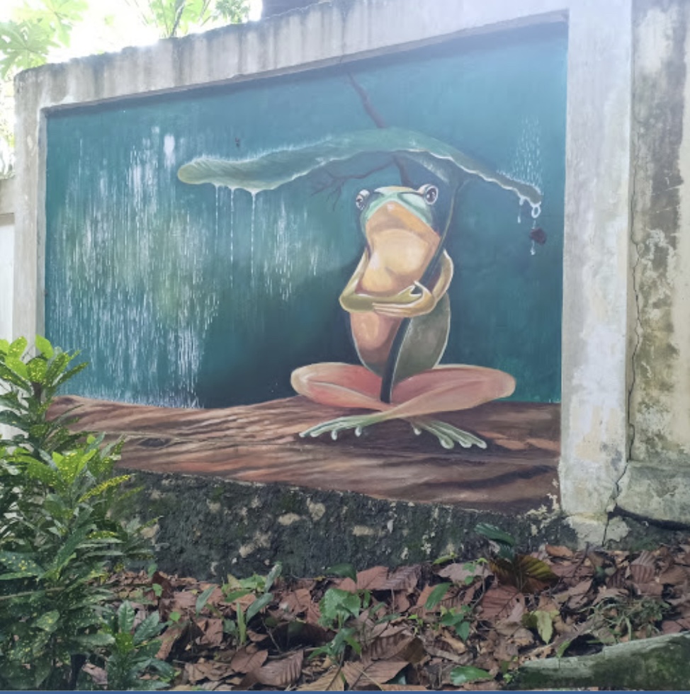 Mural Frog In The Rain