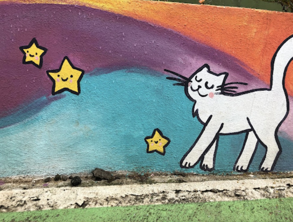 El gato blanco y sus estrellas