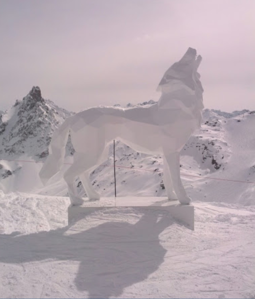 Loup Des Neiges