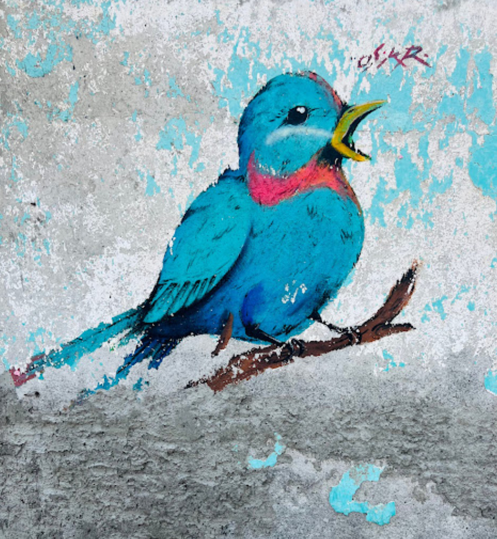 Mural Pajarito