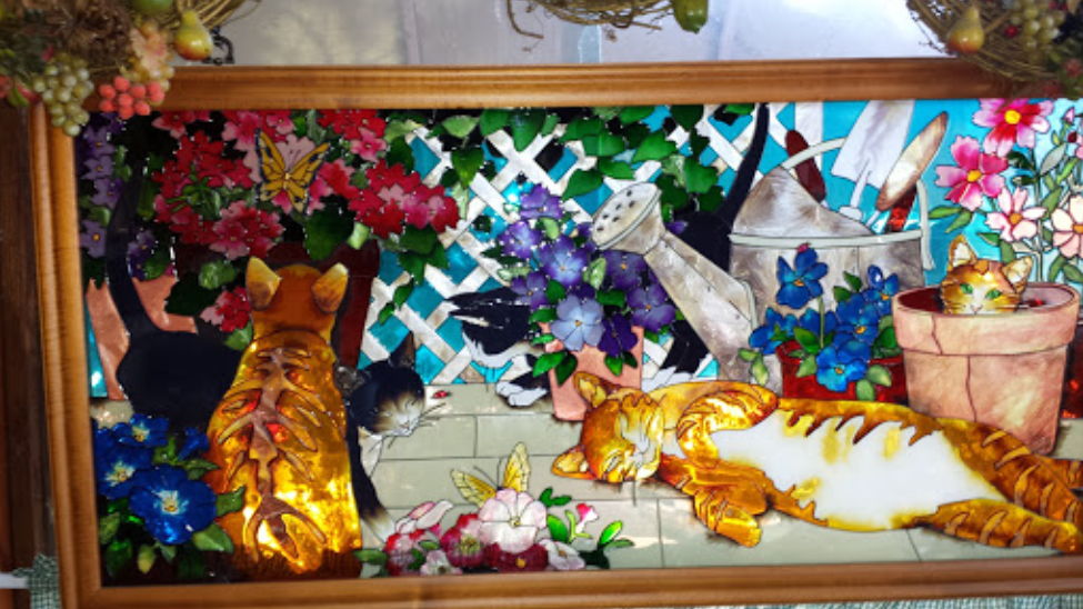 Kittens!! at Dawson's Kitchen